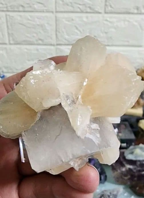 蛍石上のゼオライト