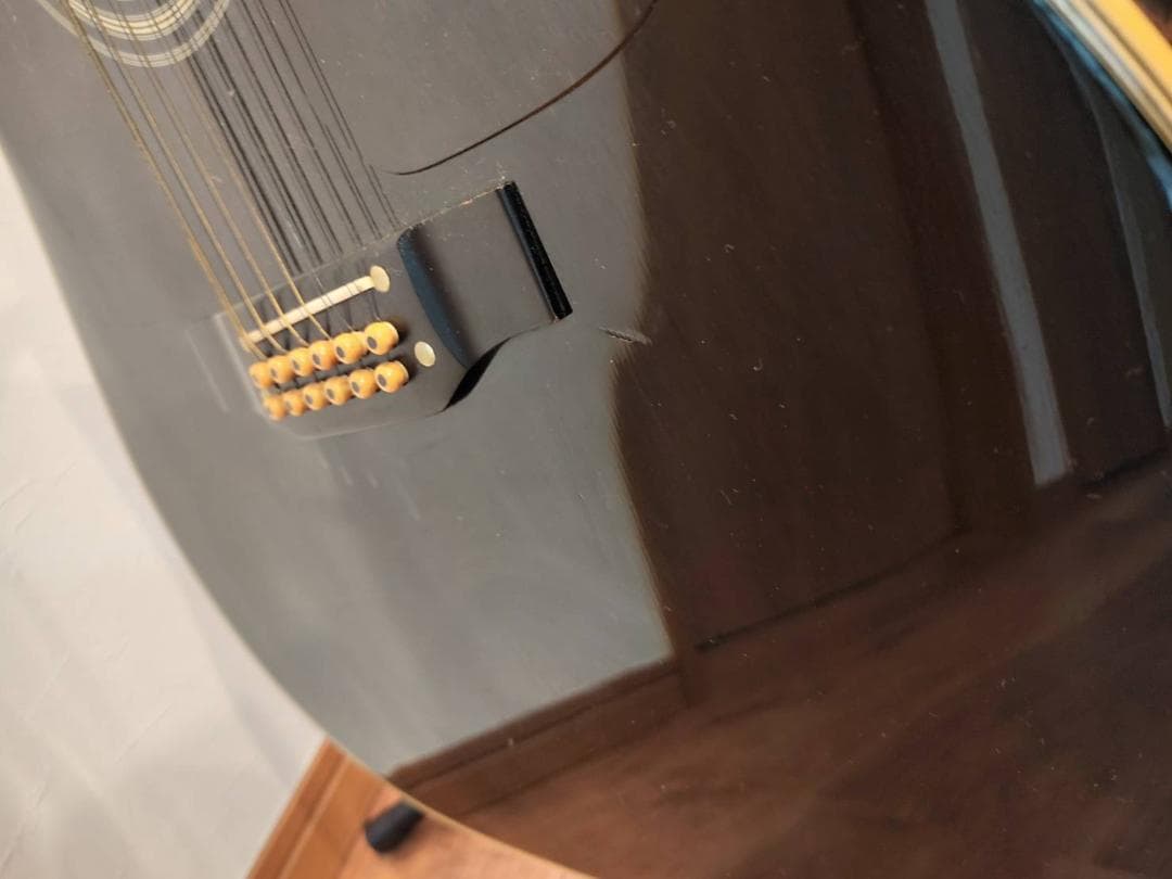 タカミネ 12弦ギター エレアコ アコースティック ギター