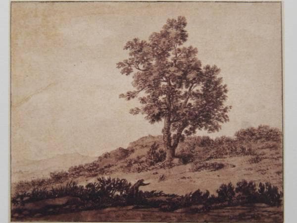 アレグザンダー・カズンズ、樹木の習作 （完成素描）、希少画集画、新品額装付