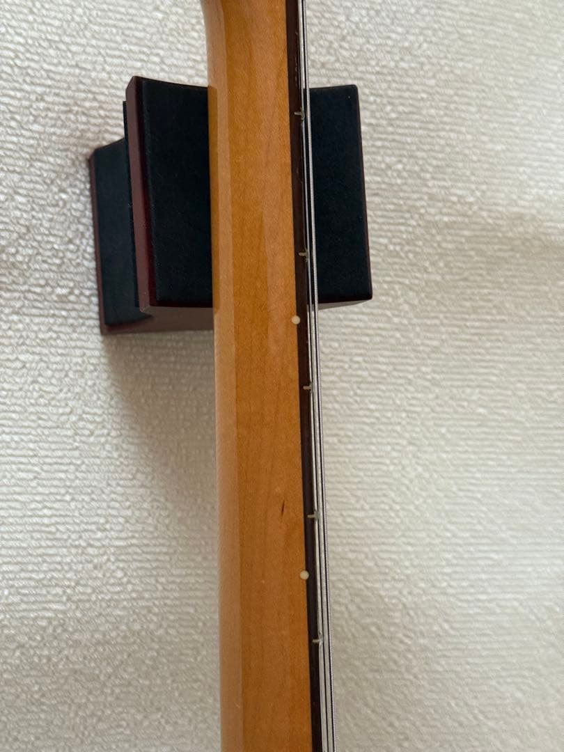 Bill Lawrence BCOR-55B ／ストラップ／ソフトケース付き