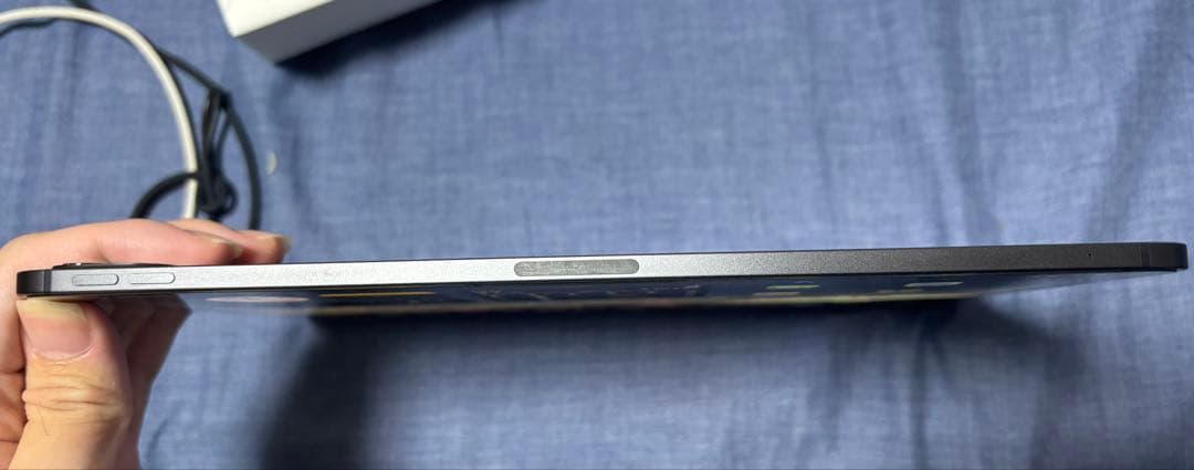 iPad Pro11 M4 256GB セルラー Pencil付