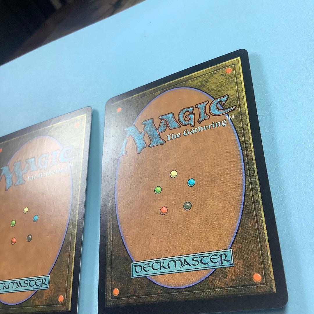 樹木茂る山麓/Wooded Foothills ONS日本語2枚セット