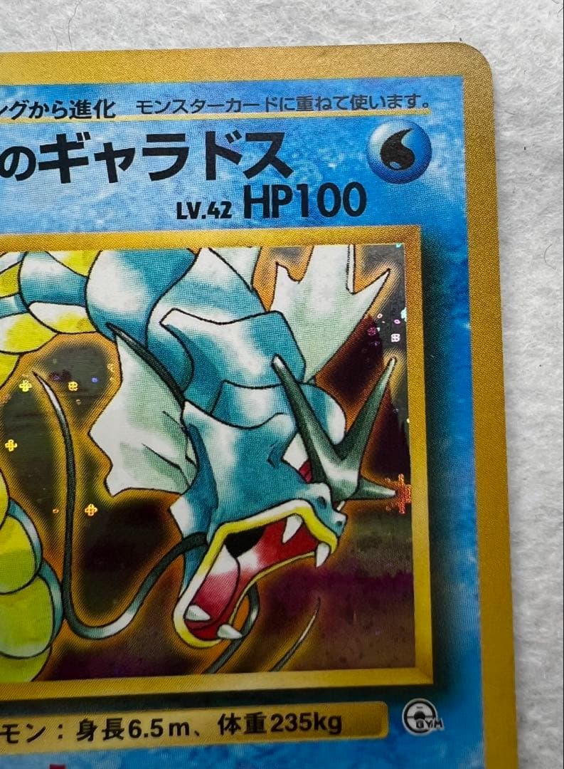 【初版】カスミのギャラドス　旧裏