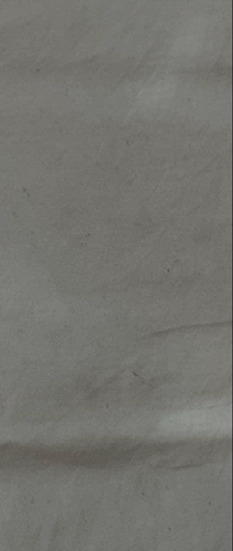 FTI lil london ネクタイプリント Tシャツ