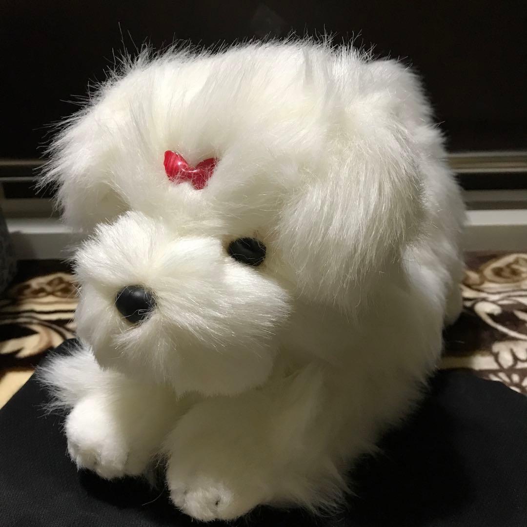 ぬいぐるみ　犬　マルチーズ　ファースト社　タグ付き　美品❣️