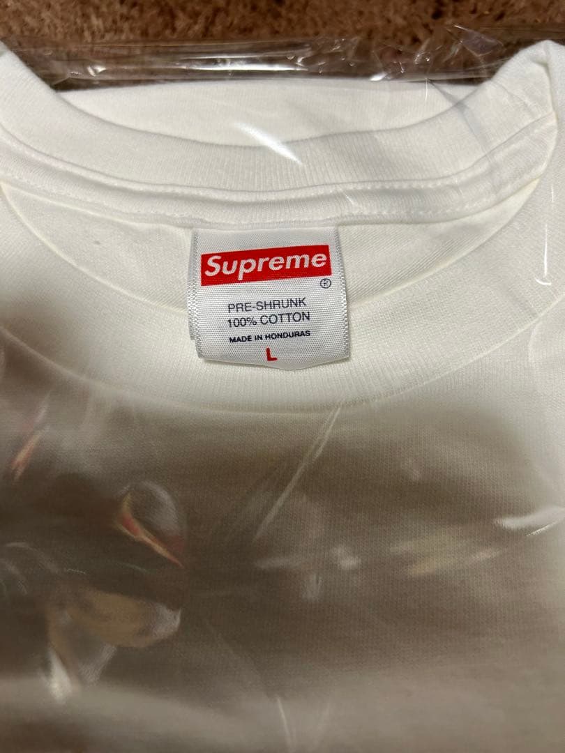 Supreme Dust Tee White ホワイト Ｌ