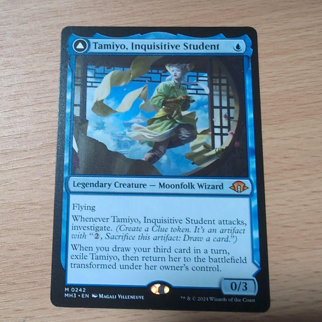 知りたがりの学徒、タミヨウ　英語版　4枚セット