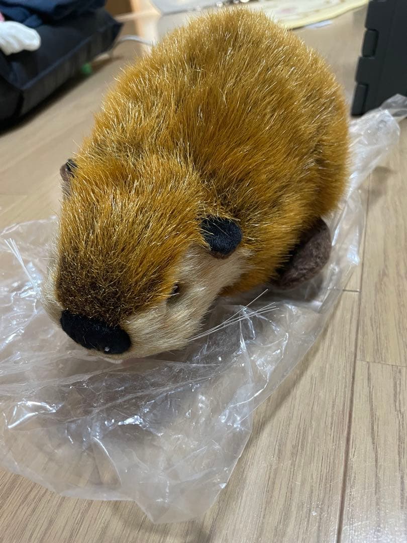 SUPER BEAVER ビーバー ぬいぐるみ