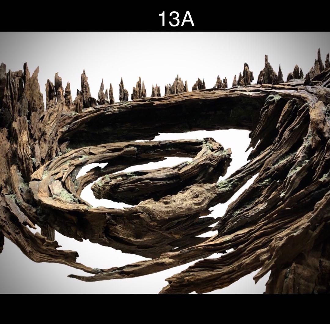 【オンリーワン品】森の螺旋幻想: 90センチ水槽の魔法的アクアレイアウト