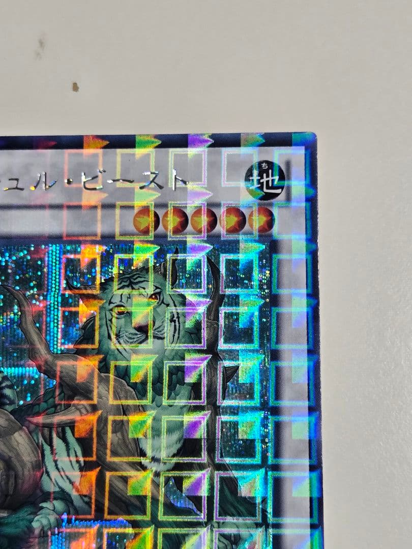 ナチュルビースト　DTC シークレット