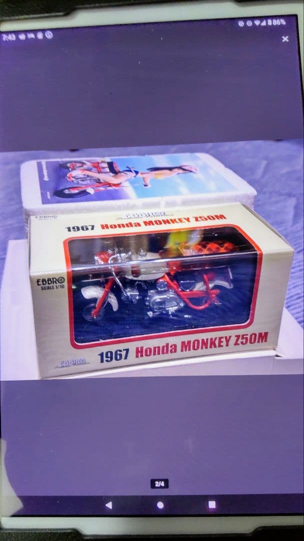 200個限定 エブロ 1/10 MONKEY Z50M モンキー ガール