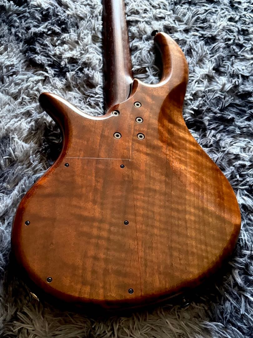 ベース Elrick Gold Series Revolution 4