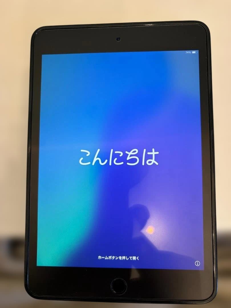 iPad本体 iPad mini Wi-Fi + Cellular 64GB