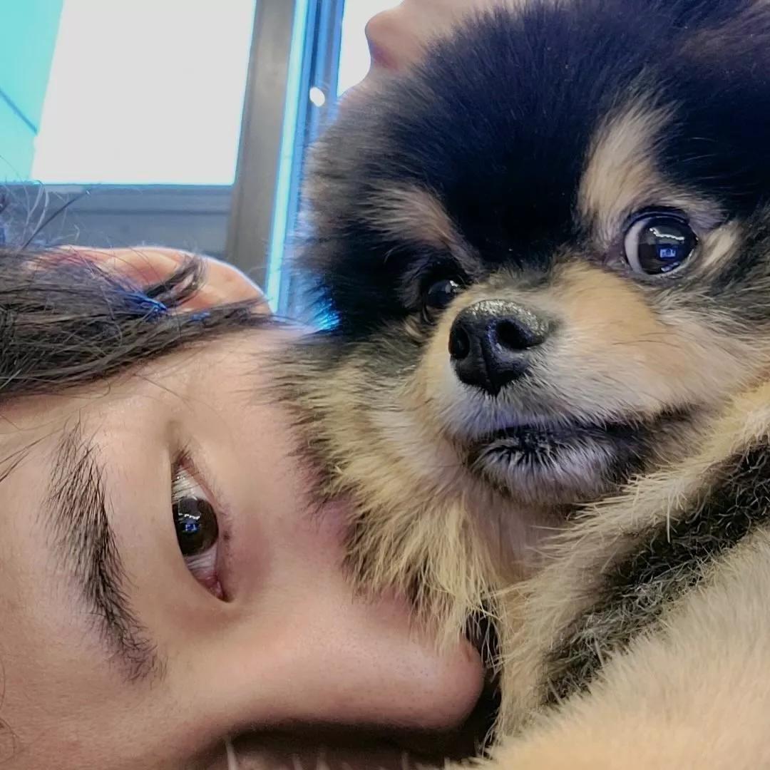 BTS V着用 ヨンタン前掛け