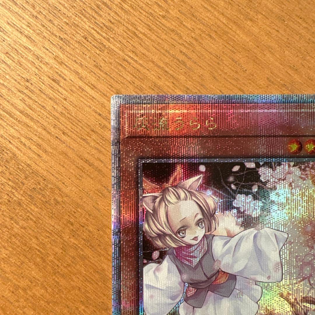 遊戯王 灰流うらら 25th