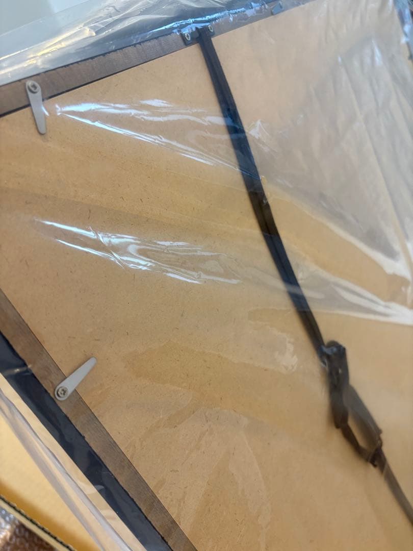 アントワネット・ポワソン　ドミノペーパー Grenades グレネード　額装