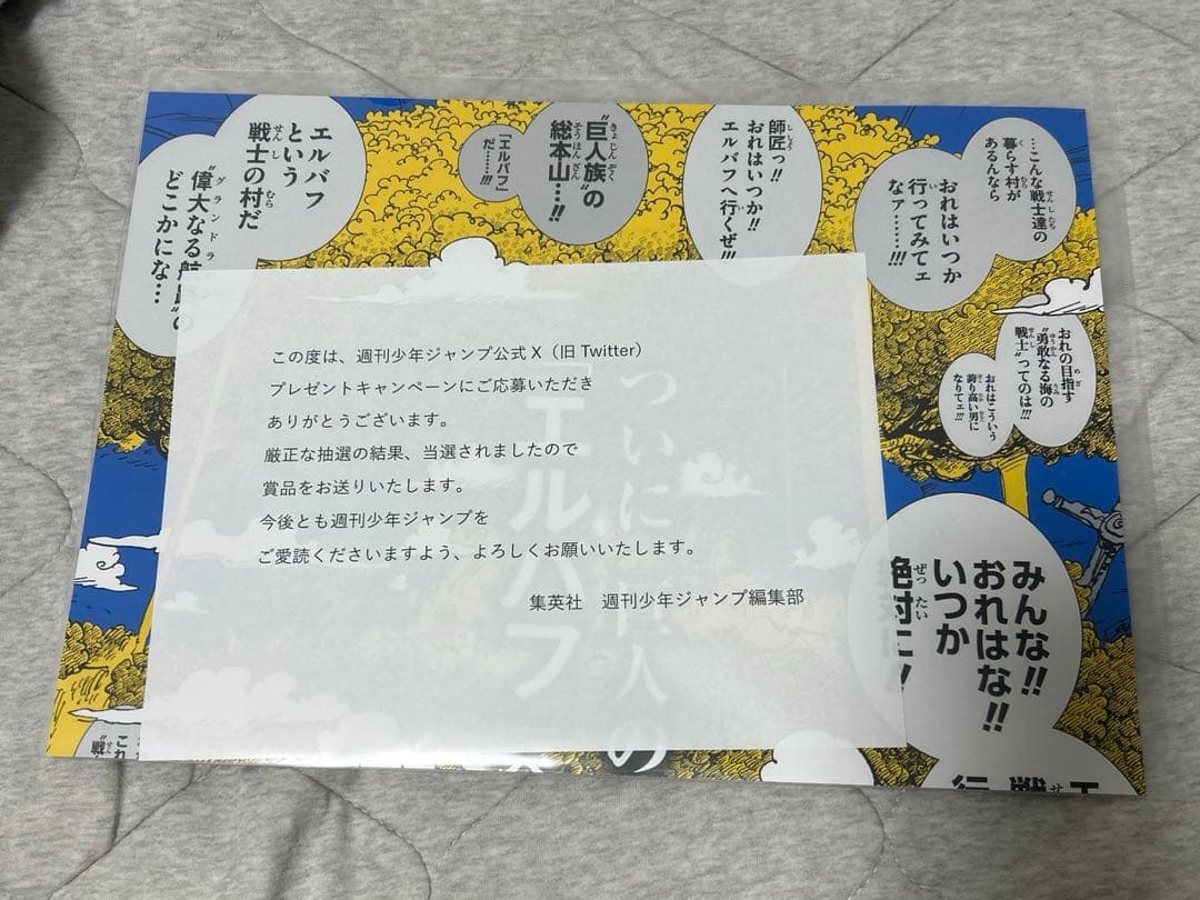 ワンピース onepiece 書店用ポスター 111巻 当選品