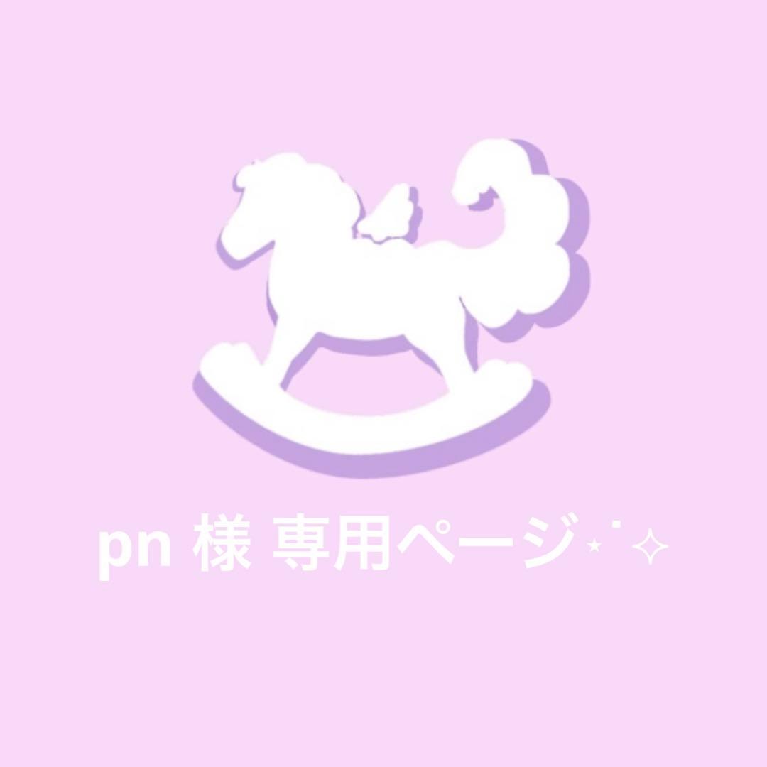 〖 pn 様 〗専用ページ