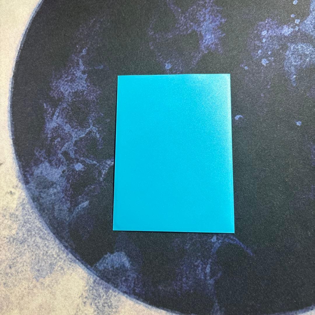 リースボルシャック　スリーブ付き