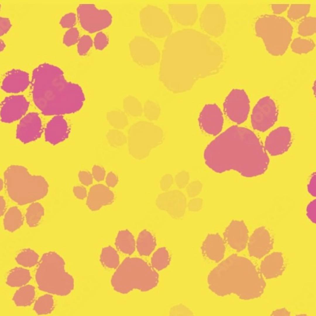 みーた0401様　(*^^*)専用