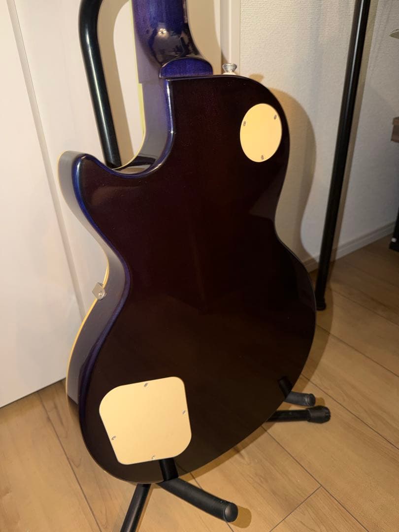 【希少色】Epiphone Les Paul Standard Plustop