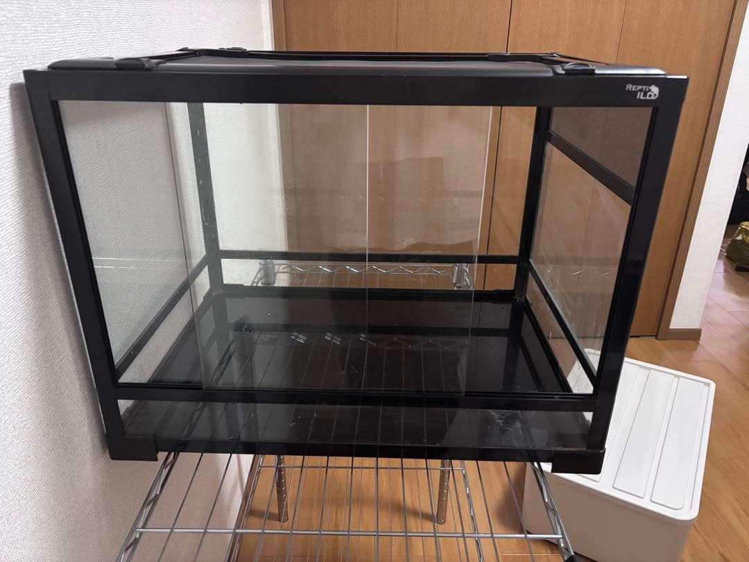 gotパンテオン6045