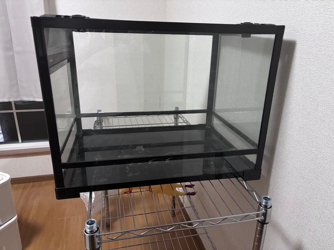 gotパンテオン6045