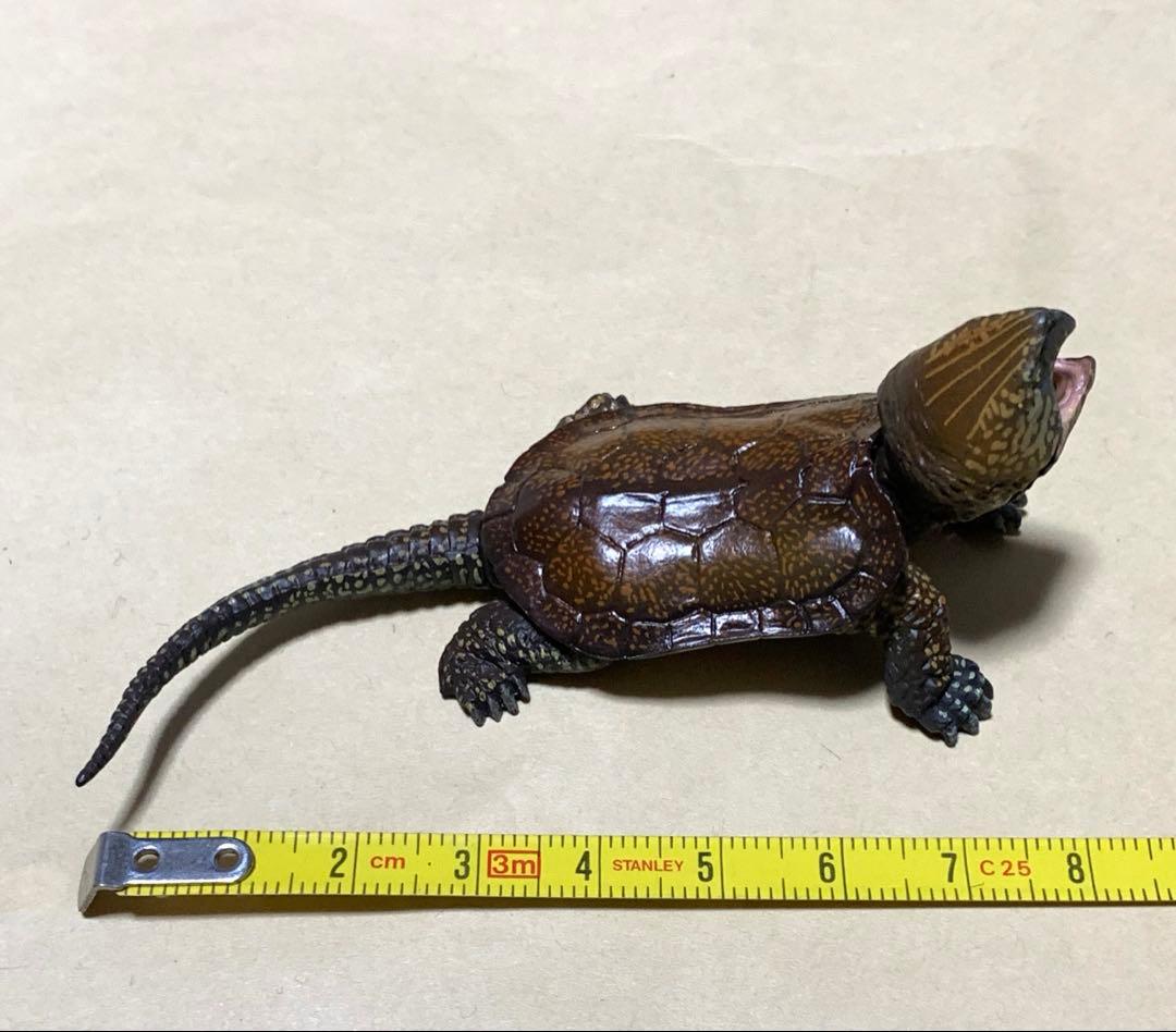 海洋堂　チョコQ シークレット　オオアタマガメ　2種セット　フィギュア