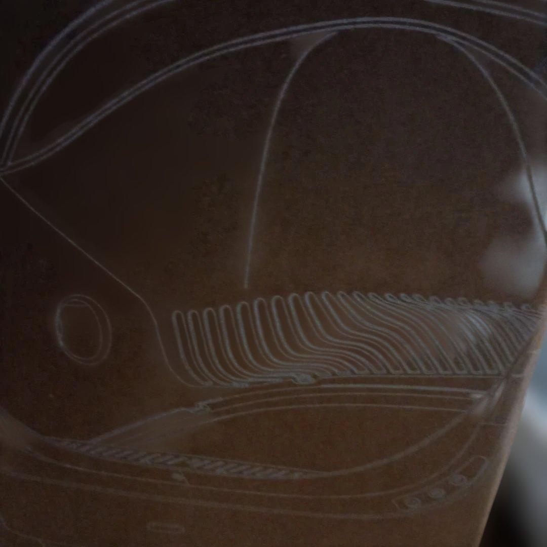 自動猫用トイレ クリーニング機能付き