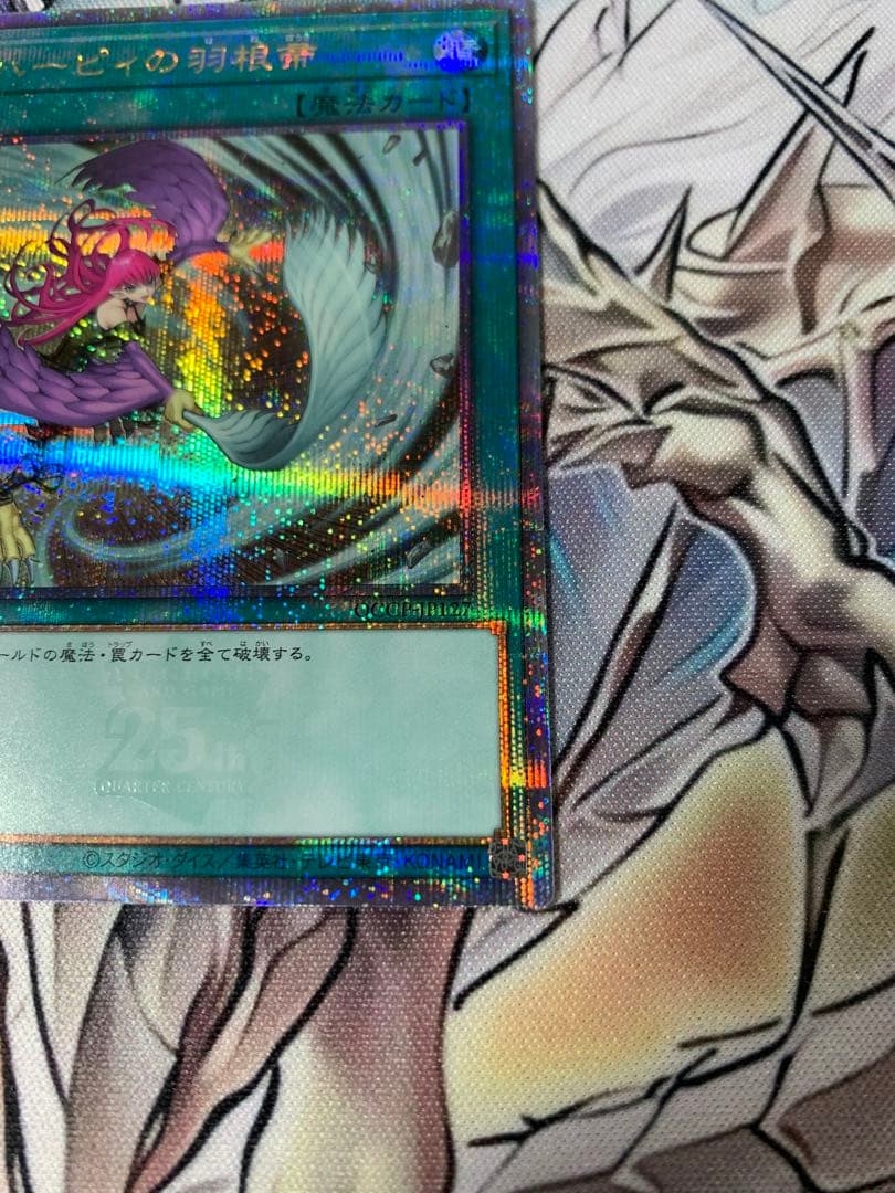 ハーピィの羽根箒　25th 絵違い