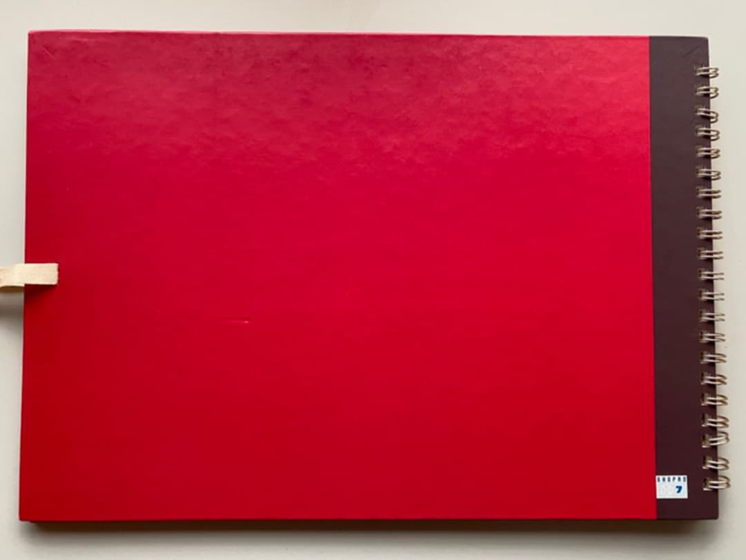 ポケモン カノン スケッチブック 水の都の護神