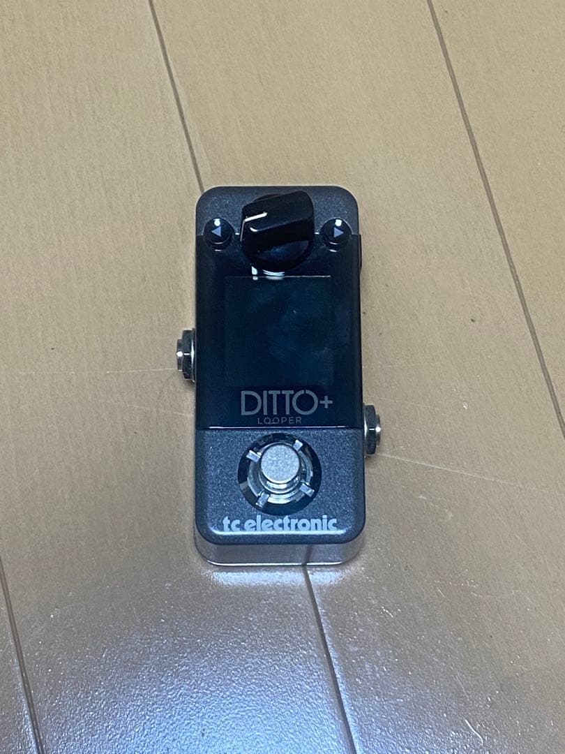 ギター tc electronic DITTO+ Looper