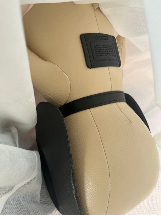 coach × peanuts コレクティブル　シグネチャー　キャンバス