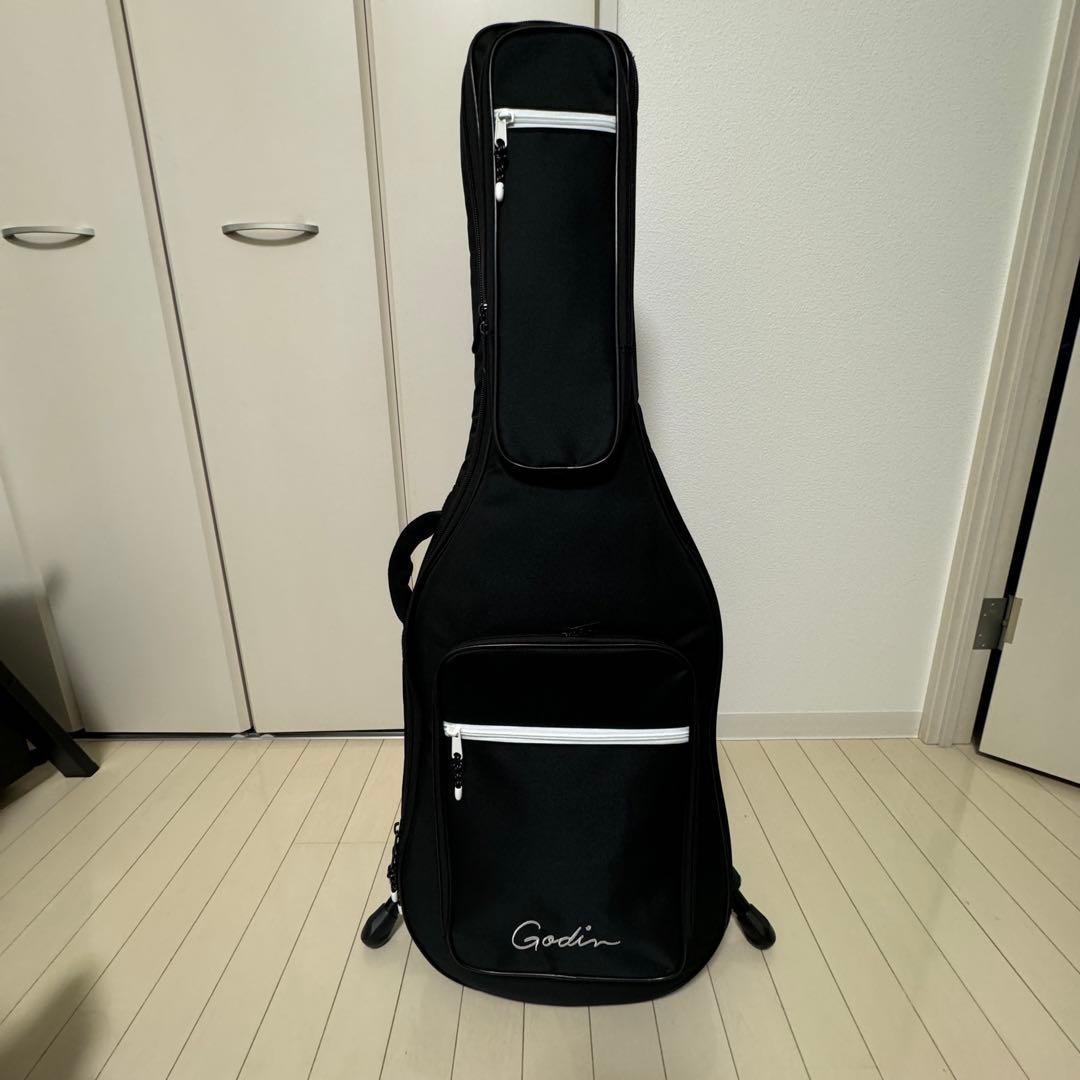 ギター Godin Multiac Mundial Onyx Black