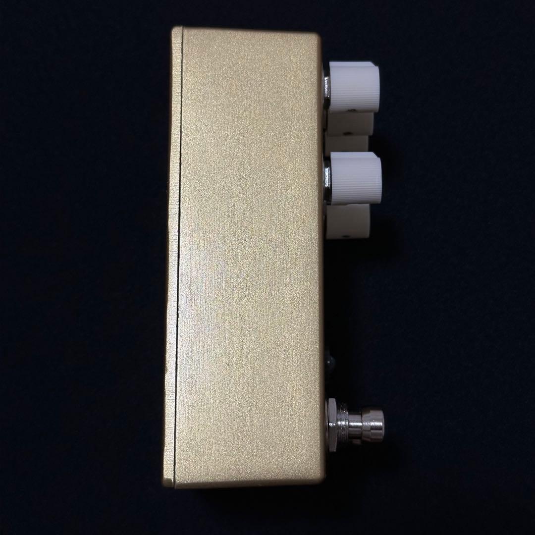 ★限定カラー★ Walrus Audio Slotva Gold Finish