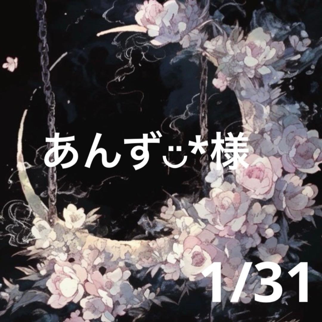 あんず◡̈*ちゃん専用♥️