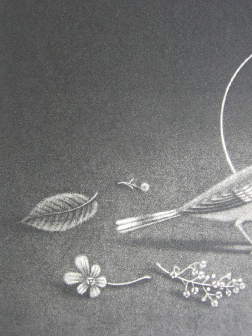 長谷川潔、時　静物画、厳選、希少画集・額装画、新品高級額 額装付