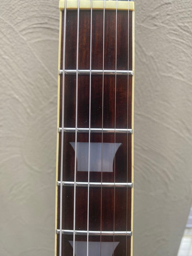 aria pro ii レスポールタイプ