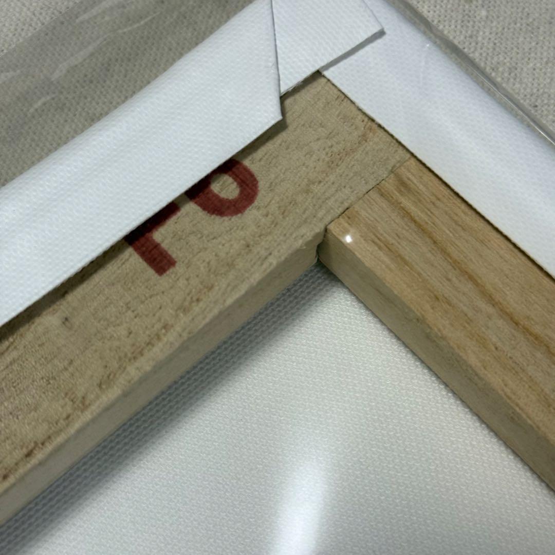 【完全受注生産限定】トガヒミコ フルカラーBIGアートボード ヒロアカ