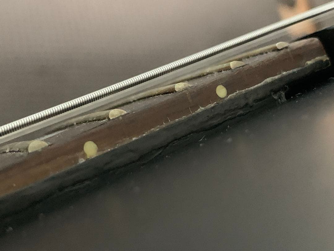 グラスルーツ glassroots G-L-48LP INORAN モデル #2