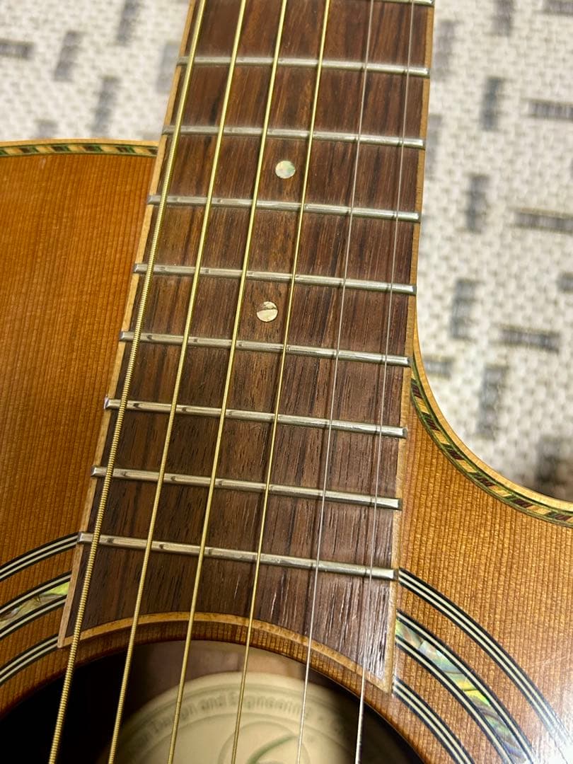 GREG BENNETT design SAMICHエレアコ(OM-15CE)