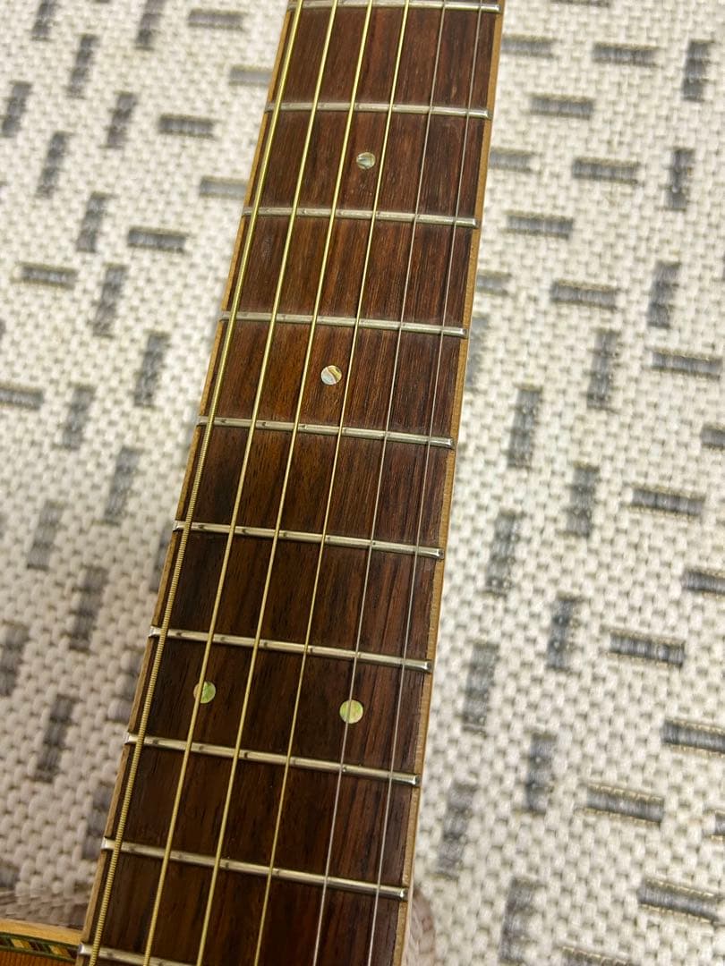 GREG BENNETT design SAMICHエレアコ(OM-15CE)