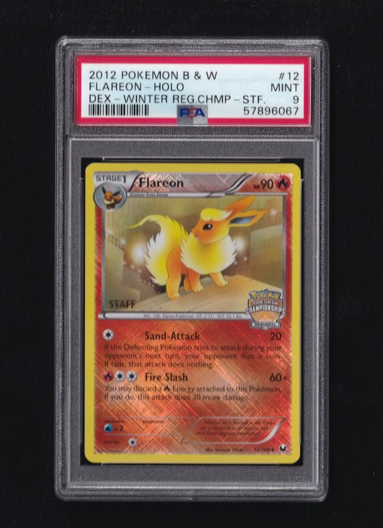 英版ブースター チャンピオンシップ STAFFプロモ - PSA MINT9