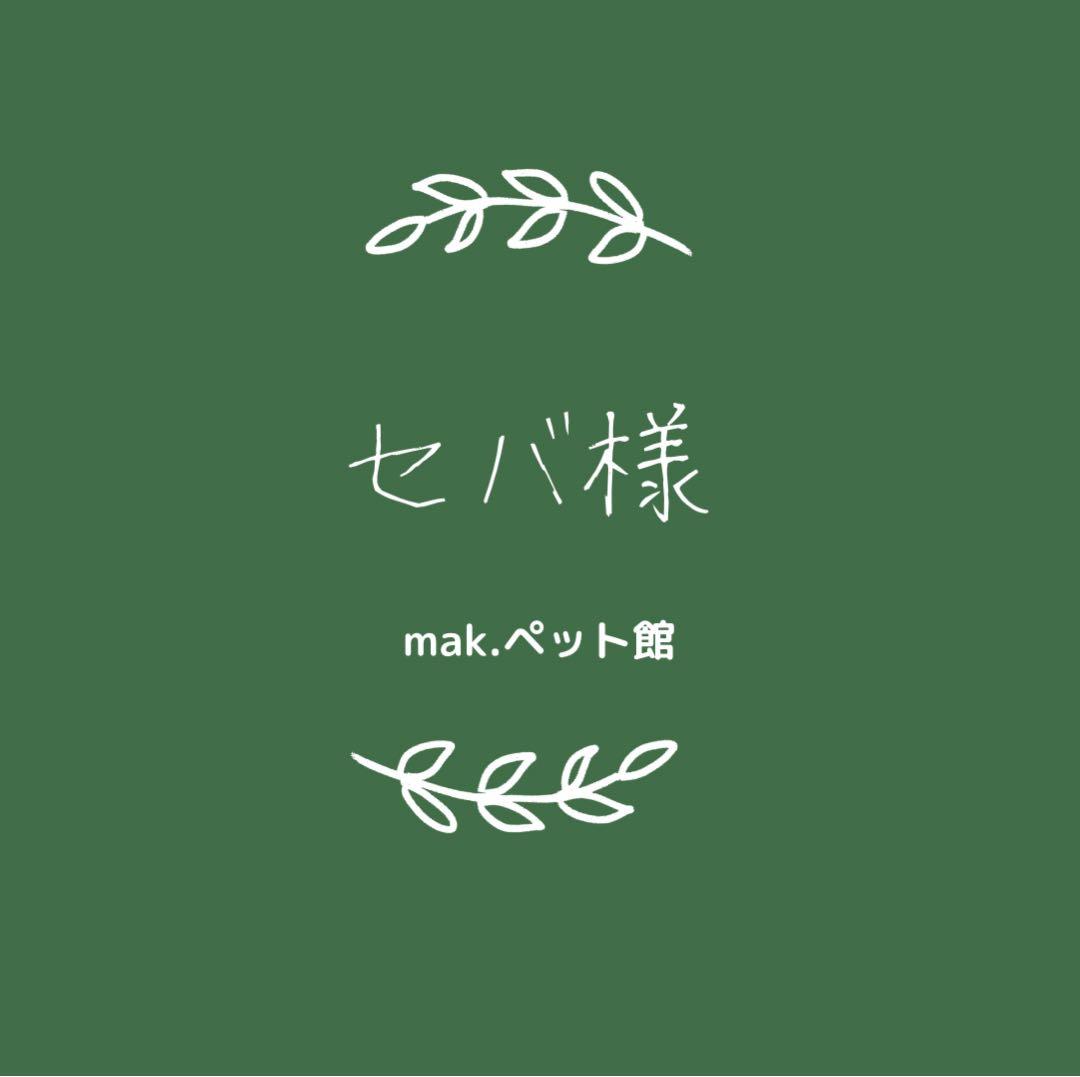 K-ブラッシュＬ【スプレータイプ】