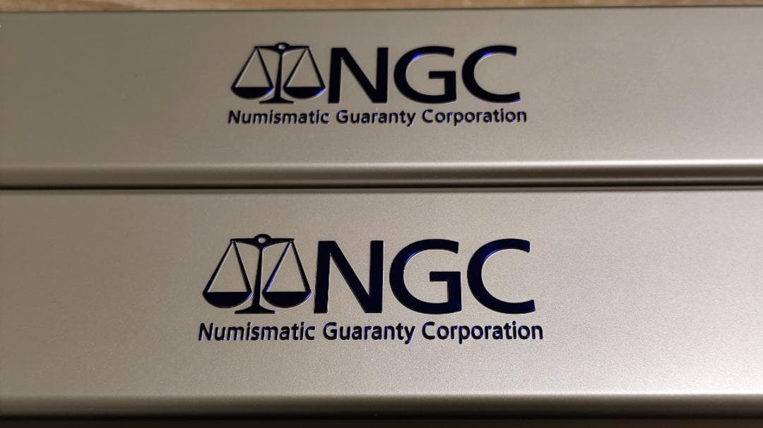 NGC スラブケース 20個まで収納可 2個セット