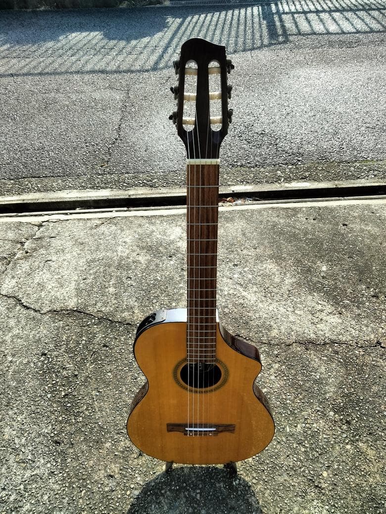 ギター Variax Acoustic 300 Nylon