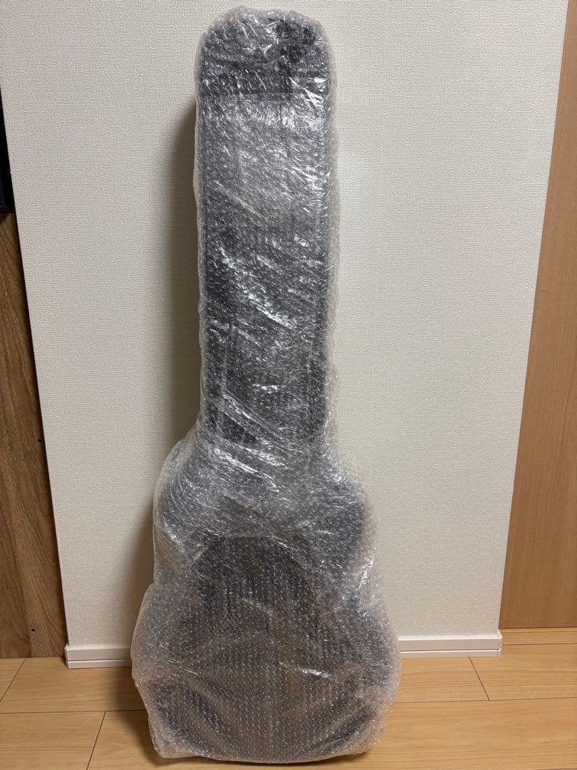 Epiphone TAK MATSUMOTO DC エレキギター ハードケース付