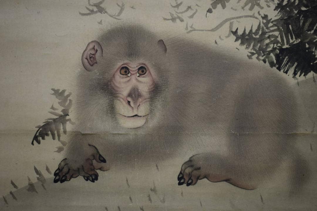 真作/森派の祖/森祖仙/猿画賛/金襴表装/布袋屋掛軸HI-101