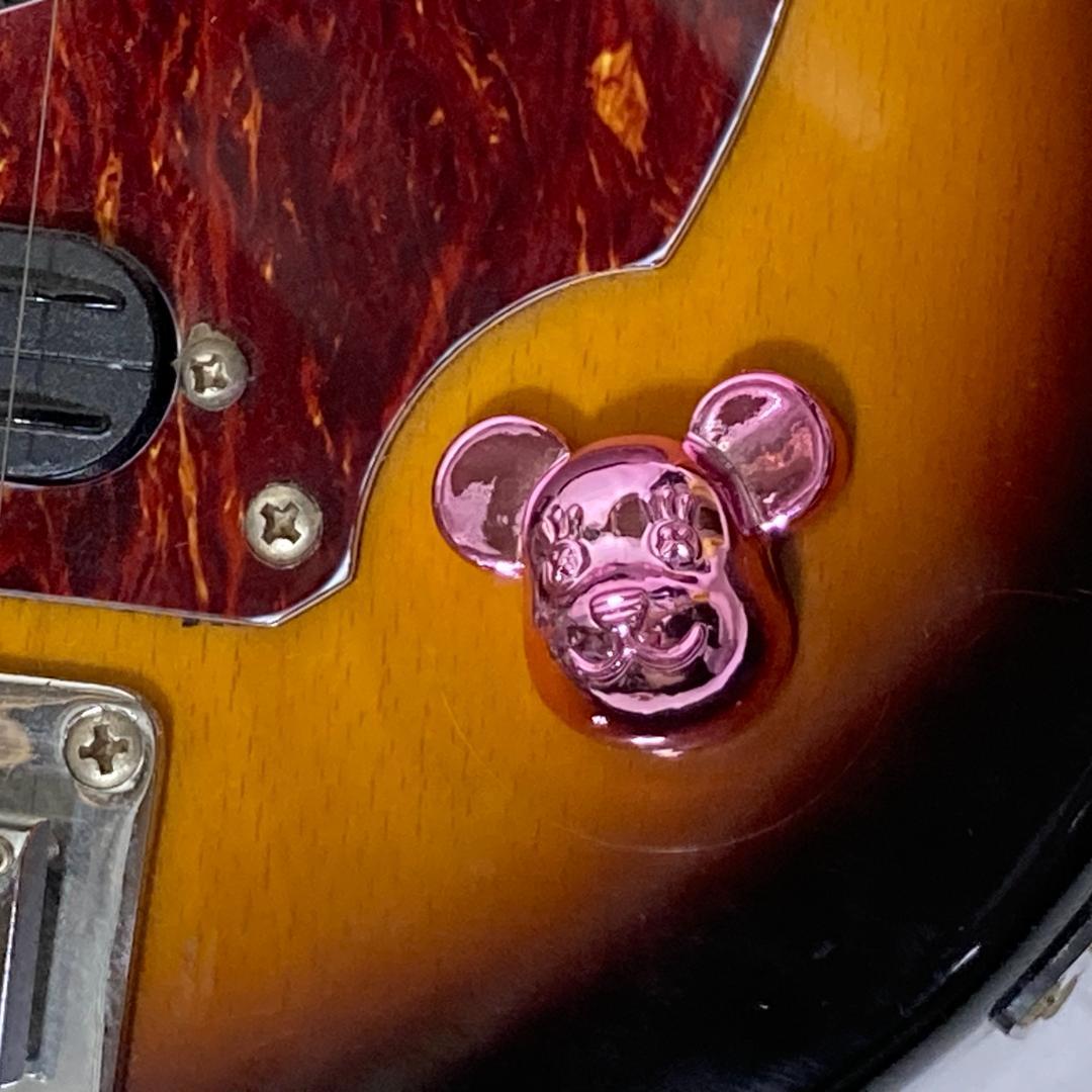 Pignose ピグノーズ アンプ内蔵ミニギター エレキギター