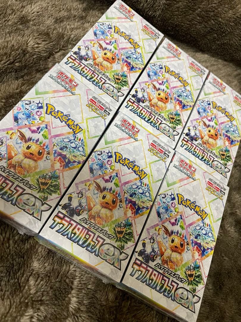 テラスタルフェス⑥BOX シュリンク付